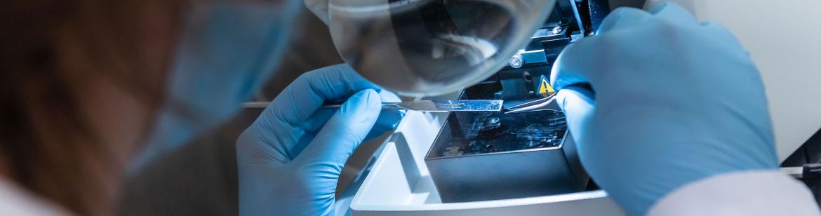 A student studying a specimen on a microscope