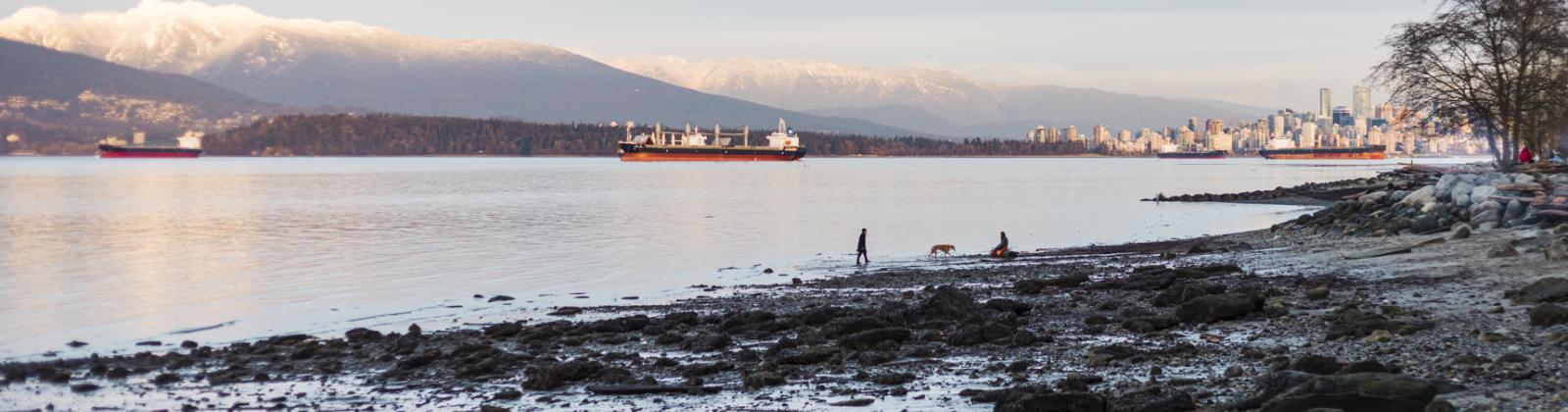 Spanish Banks