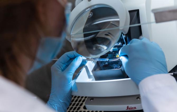 A student studying a specimen on a microscope